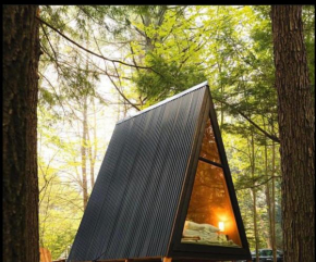 Forest Glam